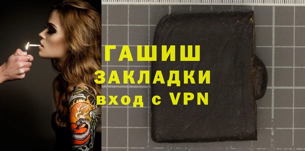 гашик Алексин