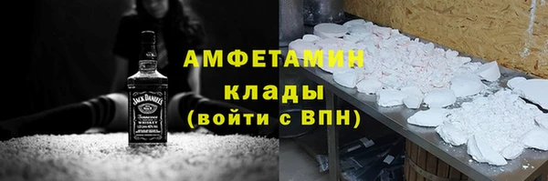 гашик Алексин