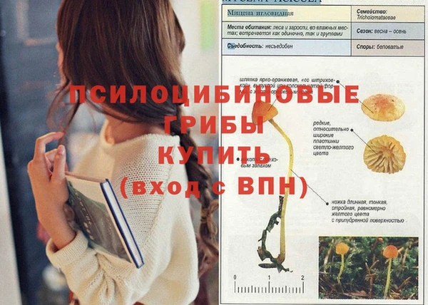 каннабис Алзамай