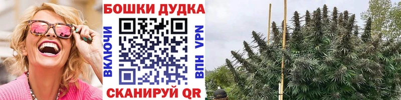 Канабис гибрид  Устюжна 